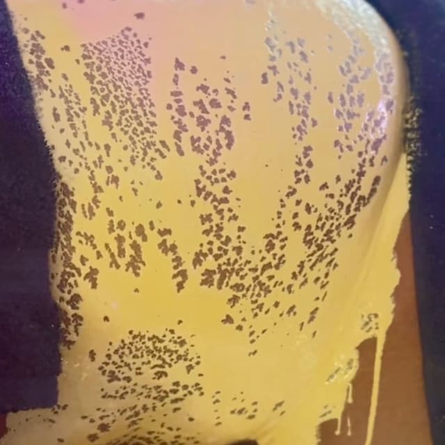Ice & Brazilian Contour Experience at Bodied by Vixáge in Puyallup, WA